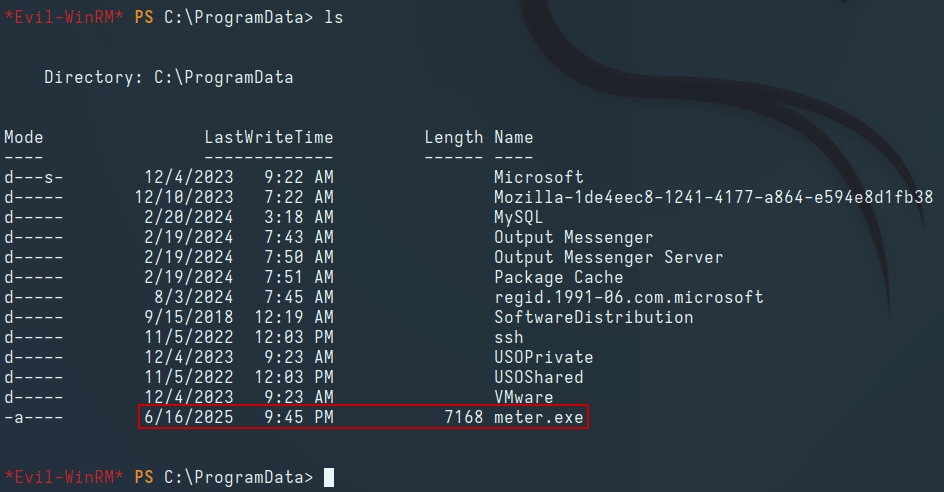 Uploading the Payload to the Target